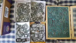 buckles all.webp