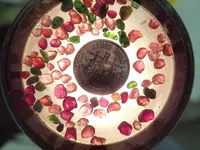 Garnet2.webp