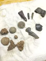 ImageUploadedByTreasureNet.com1471203063.652417.webp