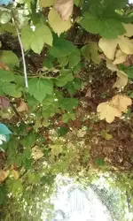 20160925_101539.webp