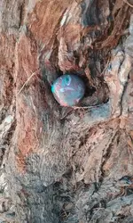 20160925_105048.webp