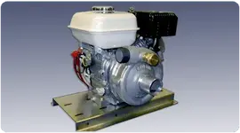 gold pump.webp