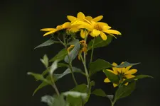 K1600_IMG_5108.webp