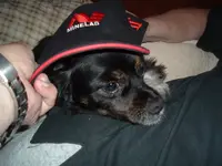 DSCF2257.webp