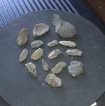 DSCF1531.webp