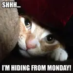 FB_IMG_1474031055308.webp