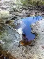 footprint2.webp