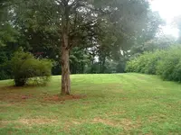 DSCF0006.webp