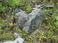 heart.webp