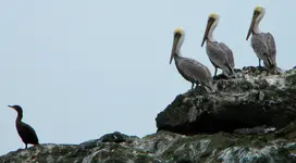 DSCN0920.webp