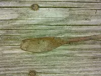 IMG_20160814_182953_047.webp