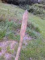 IMG_20160814_184844_874.webp