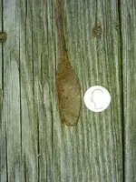 IMG_20160814_185355_778.webp