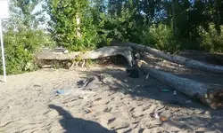 20160814_080204.webp 20160814_080204.webp