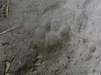 K1600_DSCN4202.webp