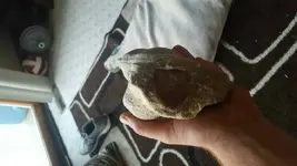 1471912376426.webp