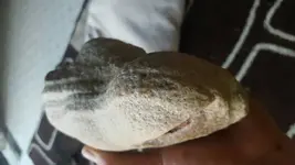 1471912414395.webp