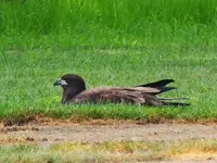 K1600_DSCN4170.webp