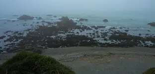 DSCN0947.webp