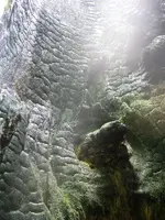 IMG_1894.webp IMG_1894.webp