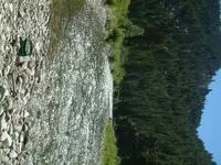 DSCF0017.webp