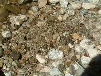 DSCF0019.webp
