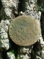 ImageUploadedByTreasureNet.com1479662533.944064.webp