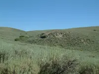 DSCF0009.webp