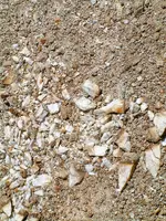 DSCF0021.webp
