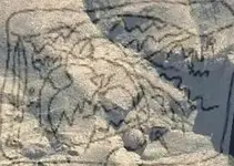 upper stone trail map overlay.webp