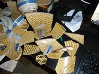 DSCN1160.webp
