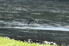 IMG_5400.webp IMG_5400.webp
