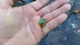 20160910_133935.webp