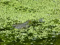 bike ride 080516 1.webp