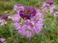 bike ride 080516 4.webp