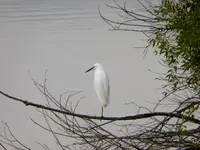 bike ride 080516 5.webp