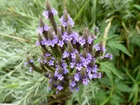 bike ride 080516 6.webp