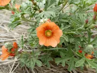 bike ride 080516 7.webp