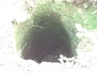 image.webp