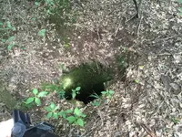 image.webp