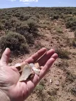 artifacts 072716 1.webp