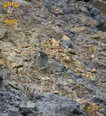 1dirt.webp