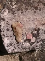 artifacts 072716 2.webp