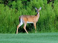 DSCN5284.webp