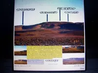 100_8585.webp