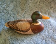 duck 1.jpg