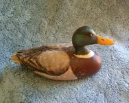 duck 1.webp