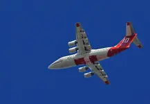 crop2.webp