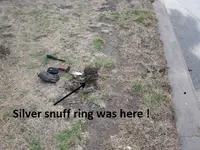 ring & merc 004.webp