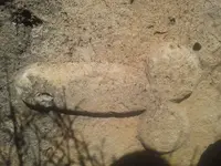 4444.webp